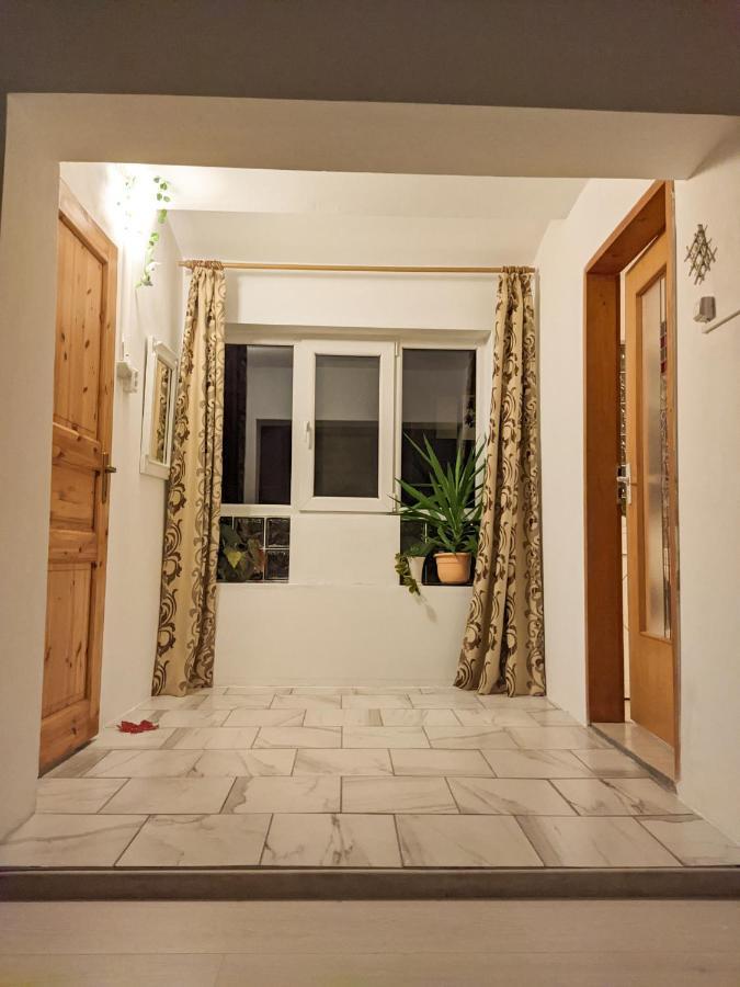 Moss'S Economy Apartment Timisoara Exterior foto