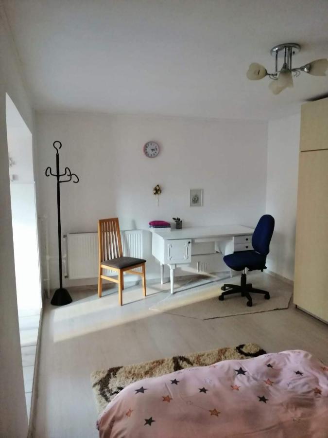 Moss'S Economy Apartment Timisoara Exterior foto